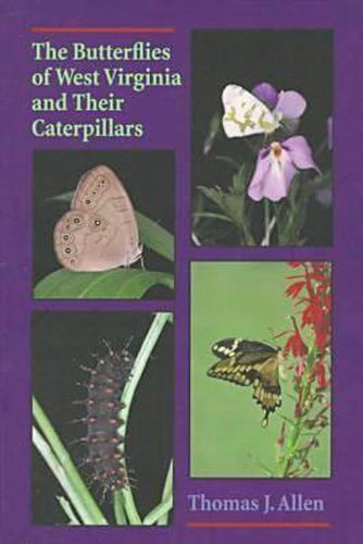 Cover image for Butterflies Of West Virginia and their Caterpillars, The