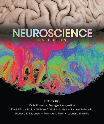 Neuroscience (Sixth Edition)