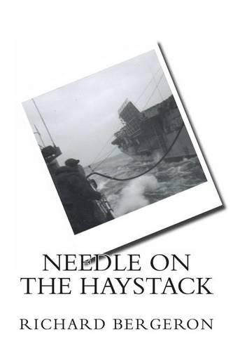 Cover image for Needle on the Haystack