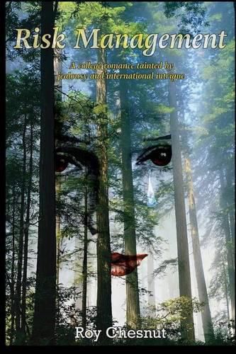 Cover image for Risk Management