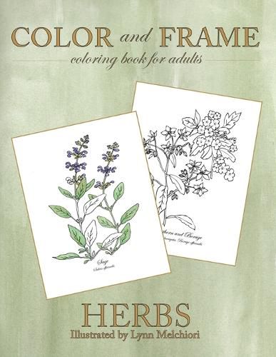 Cover image for Color and Frame: Herbs