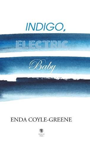 Cover image for Indigo, Electric, Baby