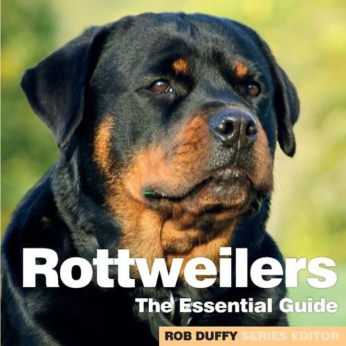 Cover image for Rottweilers: The Essential Guide