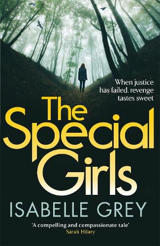 Cover image for The Special Girls: an addictive and heart-stopping crime thriller with a shocking twist