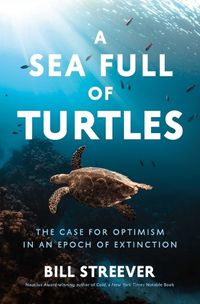 Cover image for A Sea Full of Turtles