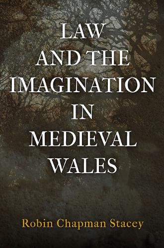 Cover image for Law and the Imagination in Medieval Wales