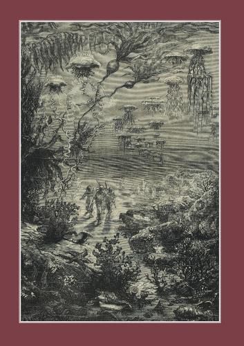 Cover image for Carnet Ligne Vingt Mille Lieues Sous Les Mers, Jules Verne, 1871: Promenade En Plaine