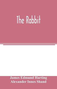 Cover image for The rabbit