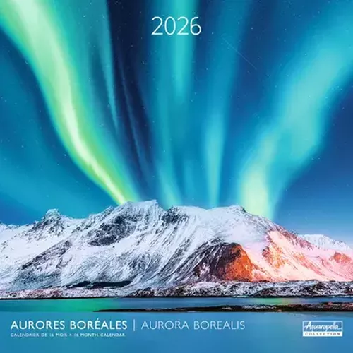 Cover image for Aurora Borealis 30x30 Calendar 2026