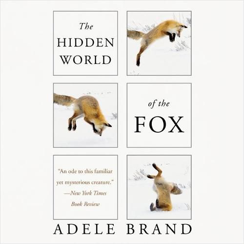 The Hidden World of the Fox Lib/E