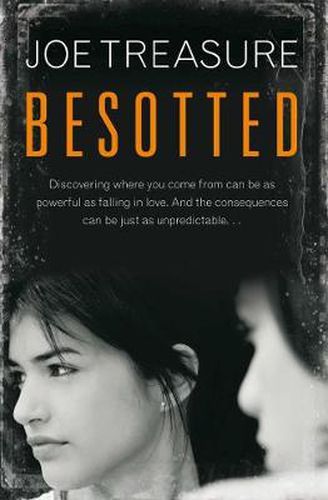 Cover image for Besotted