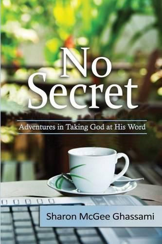 Cover image for No Secret: Adventures in Taking God at His Word