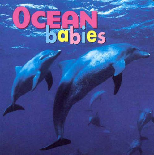 Ocean Babies BD