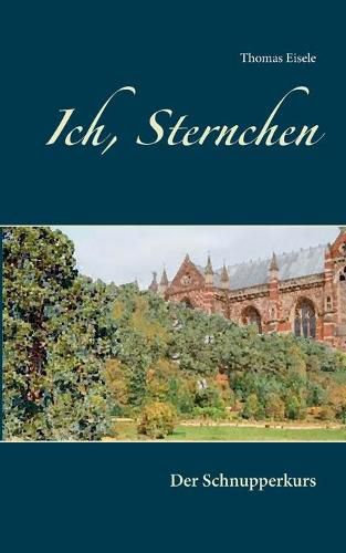 Cover image for Ich, Sternchen: Der Schnupperkurs