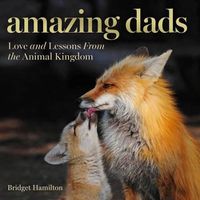 Cover image for Amazing Dads