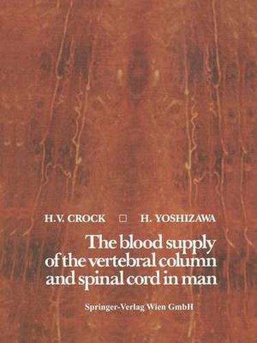 Cover image for The blood supply of the vertebral column and spinal cord in man