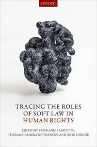 Cover image for Tracing the Roles of Soft Law in Human Rights