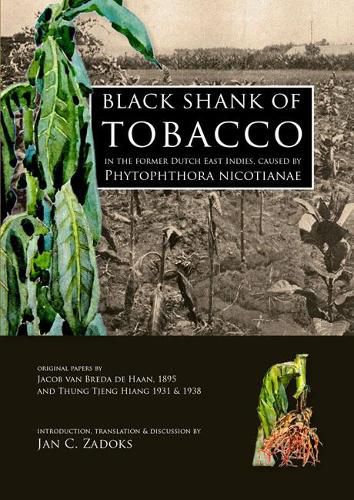 Cover image for Black Shank of Tobacco in the Former Dutch East Indies, caused by Phytophthora Nicotianae