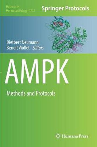 Cover image for AMPK: Methods and Protocols