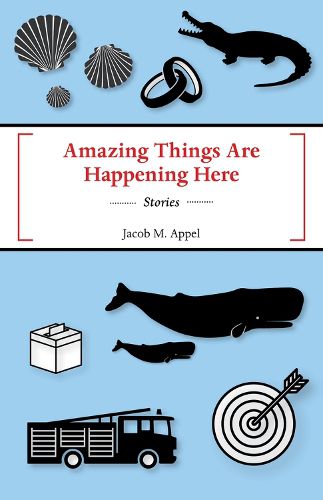 Cover image for Amazing Things Are Happening Here