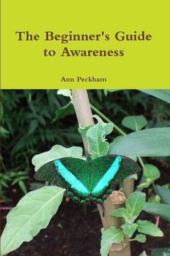 Cover image for The Beginner's Guide to Awareness