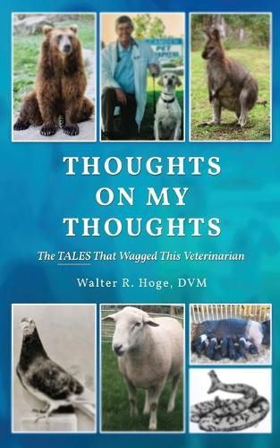 Cover image for Thoughts On My Thoughts