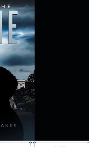 Cover image for Which Is the Clone