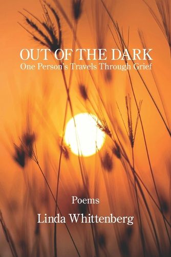 Cover image for Out of the Dark