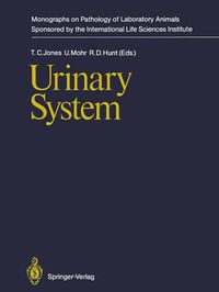 Cover image for Urinary System