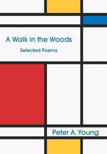 Cover image for A Walk in the Woods