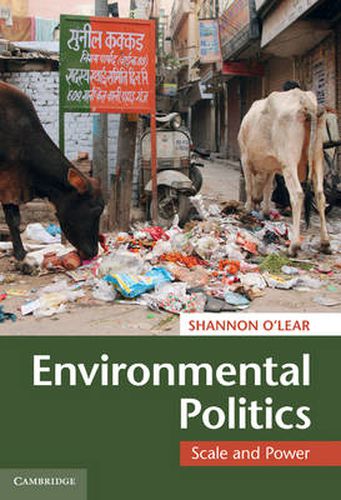 Cover image for Environmental Politics: Scale and Power