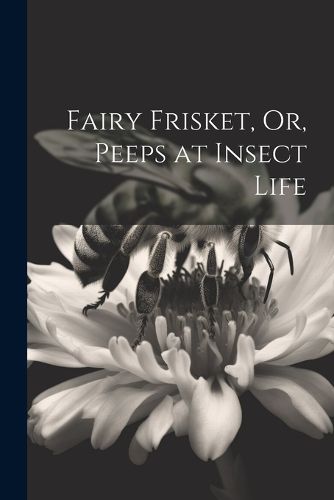 Cover image for Fairy Frisket, Or, Peeps at Insect Life