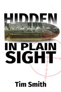 Cover image for Hidden In Plain Sight