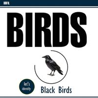 Cover image for Black birds