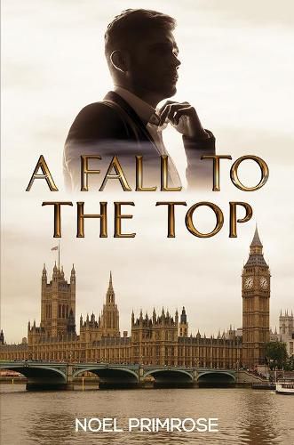 Cover image for A Fall to the Top