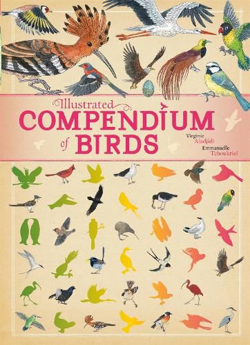 Cover image for Illustrated Compendium of Birds