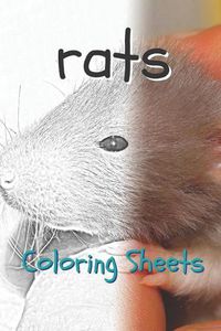 Cover image for Rat Coloring Sheets