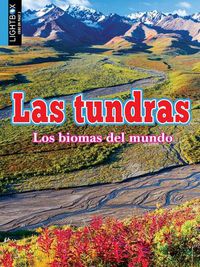 Cover image for Las Tundras