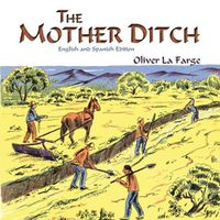 Cover image for The Mother Ditch