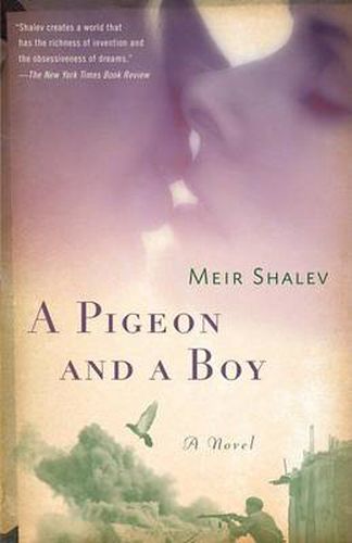 Cover image for A Pigeon and a Boy: A Novel