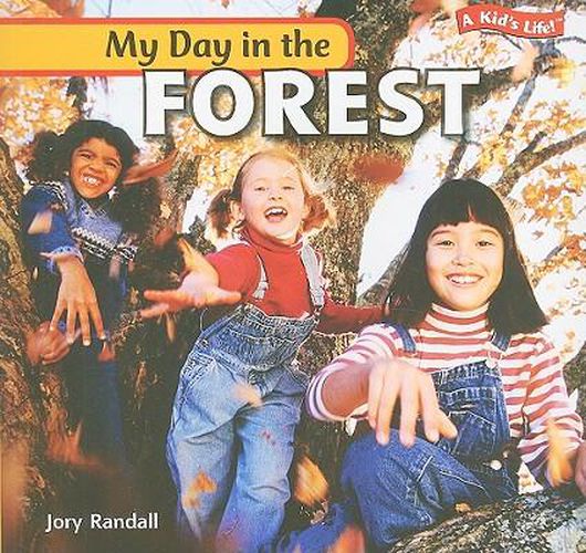 Cover image for My Day in the Forest