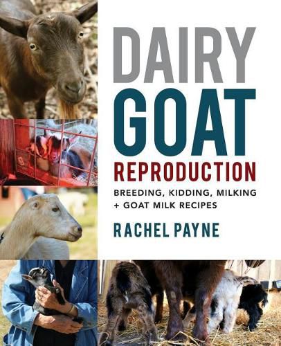 Cover image for Dairy Goat Reproduction: Breeding, Birthing, and Milking + Goat Milk Recipes