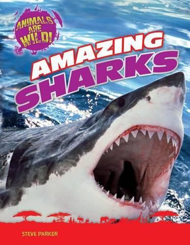 Cover image for Amazing Sharks