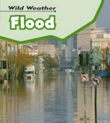 Cover image for Flood