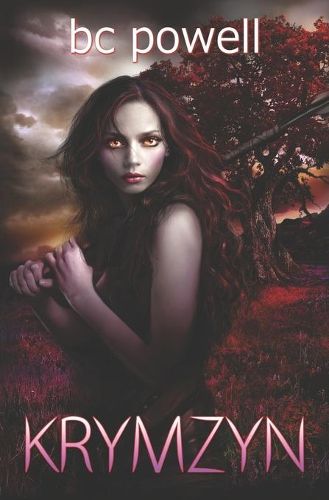 Cover image for Krymzyn