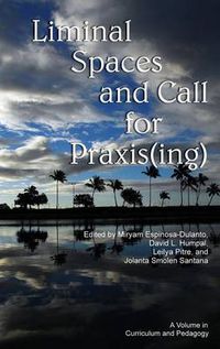 Cover image for Liminal Space and Call for Praxis(ing)