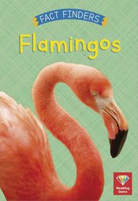 Cover image for Flamingos