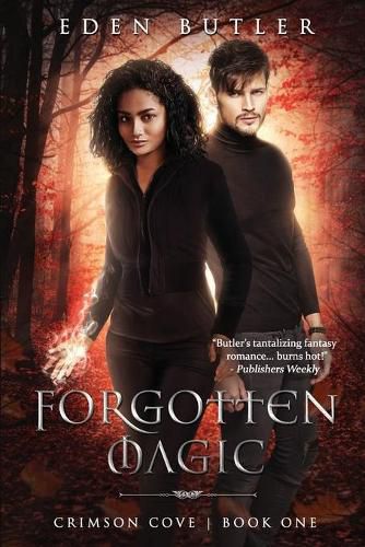 Cover image for Forgotten Magic