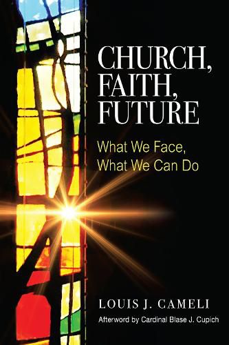 Cover image for Church, Faith, Future: What We Face, What We Can Do