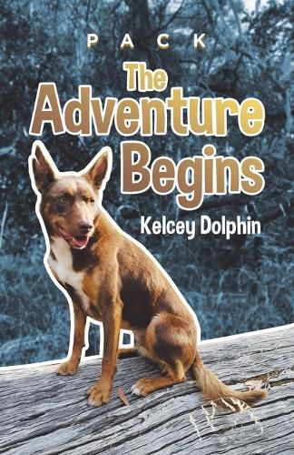 Cover image for The Adventure Begins